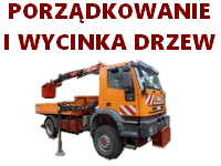 Porządkowanie i wycinka drzew